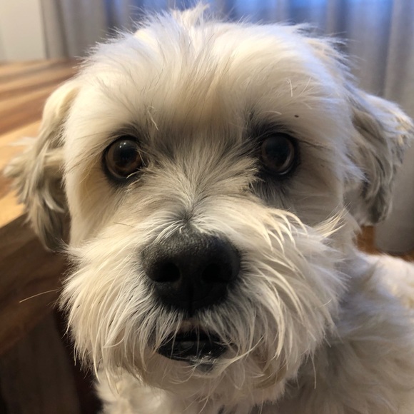 Meet your Posher, Patrizia - Picture 1 of 1